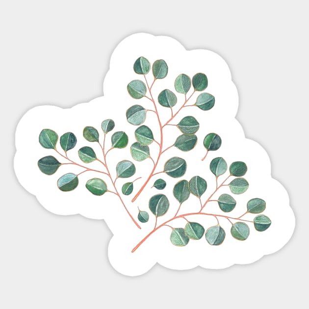 Simple Silver Dollar Eucalyptus Leaves on White Sticker by micklyn